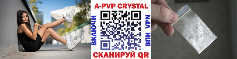 Альфа ПВП СК КРИС  KRAKEN ТОР  Бологое 